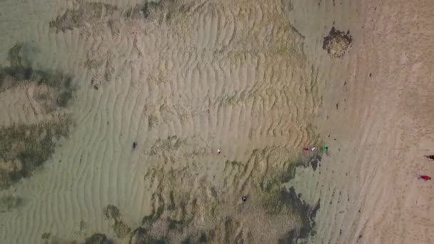 Vågmönster Bildas Från Sand Stranden Vid Lågvatten Daring Antenn Visa — Stockvideo
