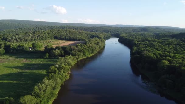 Vista Aérea Con Vistas Río Los Árboles — Vídeos de Stock