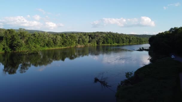 Widok Lotu Ptaka Widokiem Rzekę Drzewa — Wideo stockowe