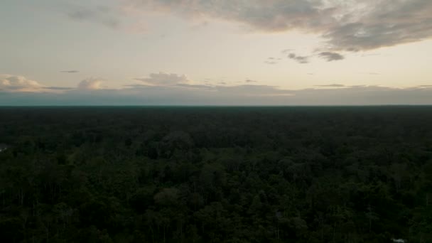 Zdjęcie Lotnicze Gęstego Lasu Podczas Zachodu Słońca — Wideo stockowe