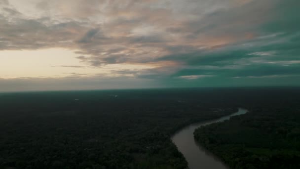 Aerial Shot Pink Clouds River Dense Forest Aerial Shot Amazon — Stock Video