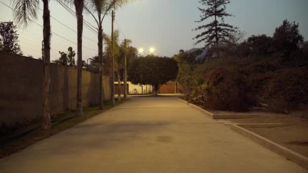 Stabilized Shot While Strolling Streets Residential Area Town Rinconada Molina — Stock Video