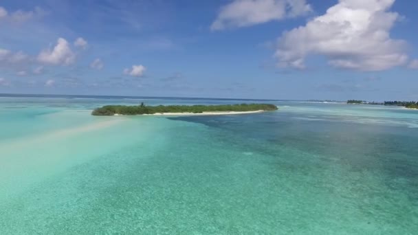 在马尔代夫的一个荒岛上 一只小鸟在无人驾驶飞机的镜头前交叉飞行 — 图库视频影像