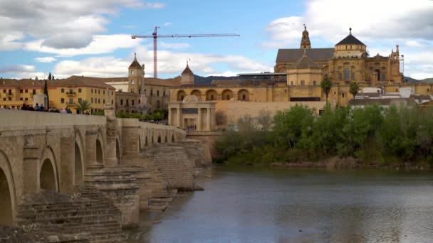 Widok Cordoba Hiszpania Panorama Miasta Mezquita Rzeki — Wideo stockowe