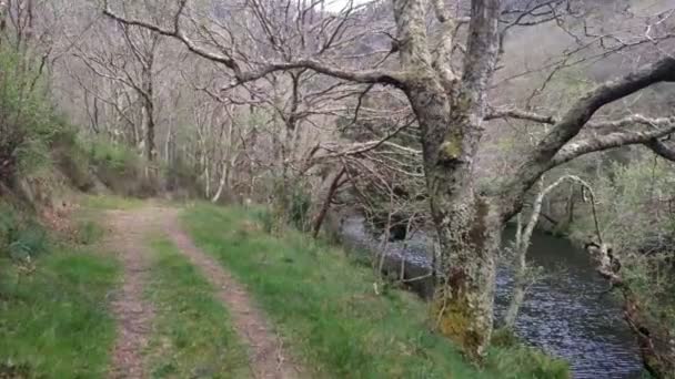 Caminhando Longo Trilha Caminhadas Sob Carvalhos Longo Rio Sor Primavera — Vídeo de Stock