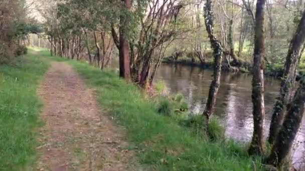 Sentier Terre Avec Herbe Sur Sentier Randonnée Long Puissante Rivière — Video