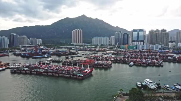 Vista Aérea Del Dron Estructura Bahía Hong Kong Como Refugio — Vídeos de Stock