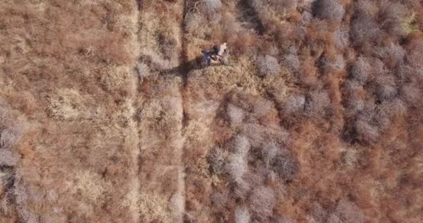Top Male Falconer Walks Narrow Brush Desert Path Hawk — Stock video