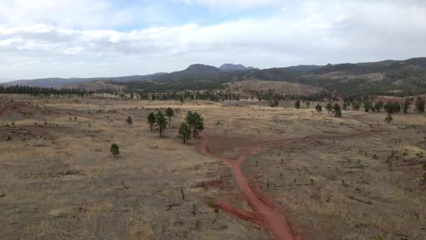 Strada Sterrata Remota Nella Foresta Nazionale Pike Veduta Aerea Seguendo — Video Stock