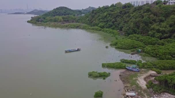 Uma Dinâmica Filmagem Aérea Birdseye Pacífico Lau Fau San Island — Vídeo de Stock