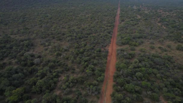 Route Droite Sale Dans Réserve Gibier Dans Savane Sud Africaine — Video