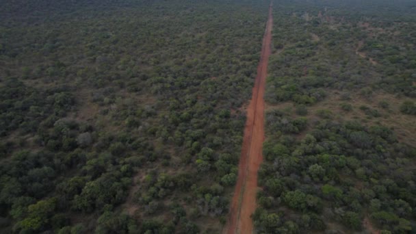 Přímá Špinavá Silnice Rezervaci Zvěře Jihoafrické Savaně Letecký — Stock video