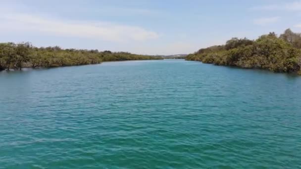 Voando Baixo Alta Velocidade Sobre Água Azul Clara Rio Hastings — Vídeo de Stock