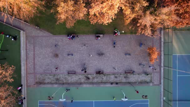 Overhead View Group People Exercising Parque Araucano Las Condes Santiago — Stockvideo