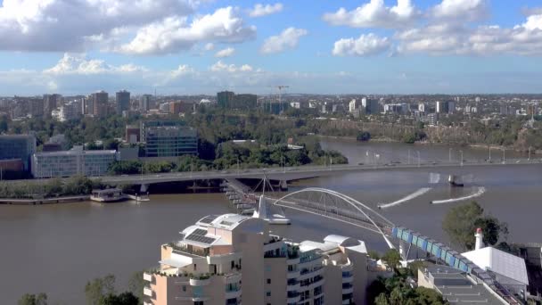 Dos Jestskis Corren Por Sinuoso Río Brisbane Día Soleado — Vídeo de stock