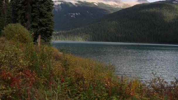 Όμορφο Ποτάμι Κοντά Χιονισμένα Βουνά Στο Banff National Park Στο — Αρχείο Βίντεο