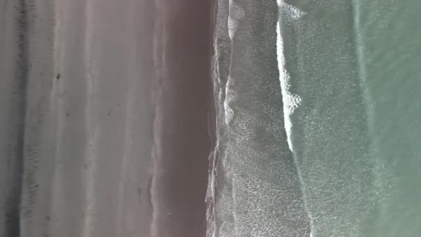 Luftaufnahme Von Oben Von Der Gezeitendrohne Schwarzen Sandstrand Raglan — Stockvideo