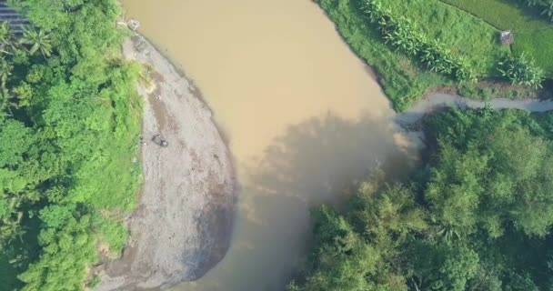 Big River Brown Water Surrounded Dense Trees Coconut Trees Bamboo — Vídeo de Stock