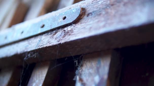 Old Wooden Gate Cobweb Abandoned House Basement Macro Tilt — Stock Video