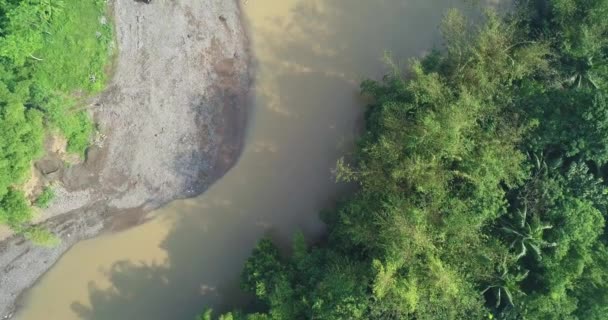 Большая Река Коричневой Водой Окруженная Густыми Деревьями Берегу Реки Растут — стоковое видео