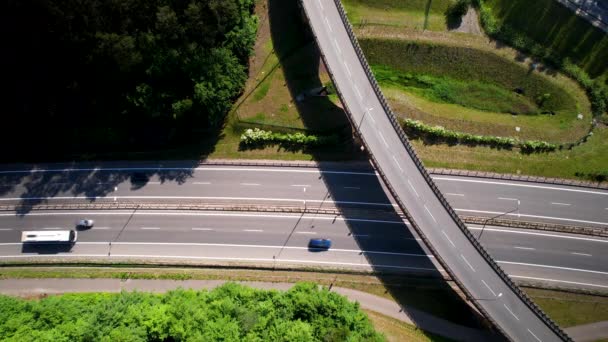 Vehicles Driving Highway Running Lush Park Gdynia Poland High Angle — Stock video