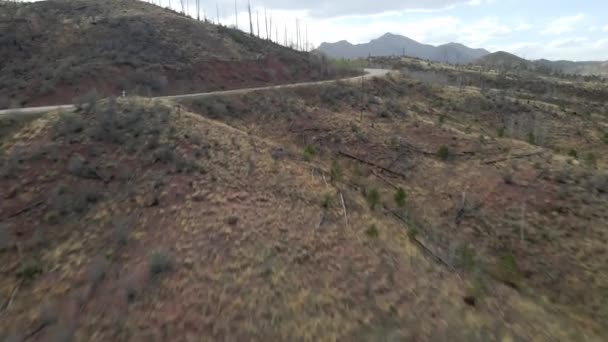 Aerial View Moving Forward Remote Mountain Road Pike National Forest — Stockvideo