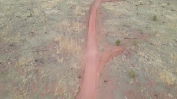 Carretera Tierra Remota Bosque Nacional Pike Aerial Tilt Shot Trail — Vídeo de stock