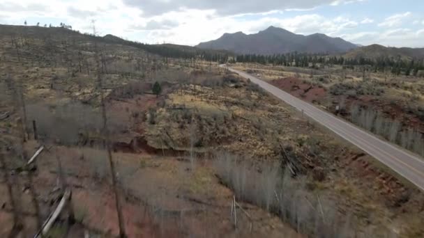 Drone Tracking Forward Trees Remote Mountain Road Pike National Forest — Stockvideo