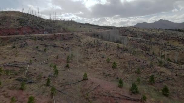 Pike Ulusal Ormanı Rocky Dağları Colorado Uzak Bir Dağ Yolunda — Stok video