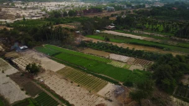 Aerial Circular View Agriculture Fields Sandy Dune Desert Land Phan — Stockvideo