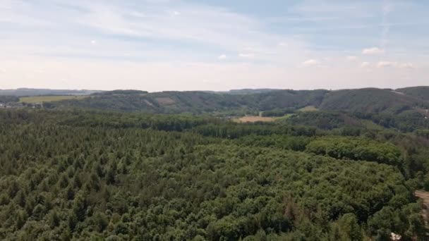 Expansive Hills Covered Mixed Forests Blue Afternoon Sky Few Clouds — Stockvideo