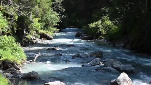 Rio Alpino Ambiente Natural Rochas Árvores Criam Sombras Wallis Suíça — Vídeo de Stock
