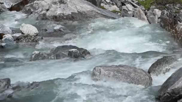 Biała Piana Czysta Woda Duże Skały Górskiej Rzeki Alpach Szwajcarskich — Wideo stockowe