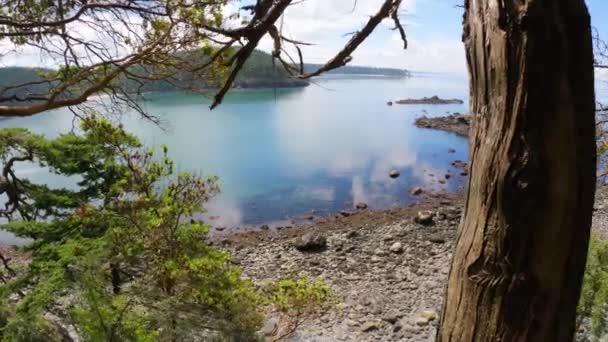 View Fidalgo Island Bowman Bay Low Tide — 비디오