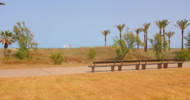 Empty Wooden Bench Promenade Overlooking Blue Sea Summer Wide — Videoclip de stoc