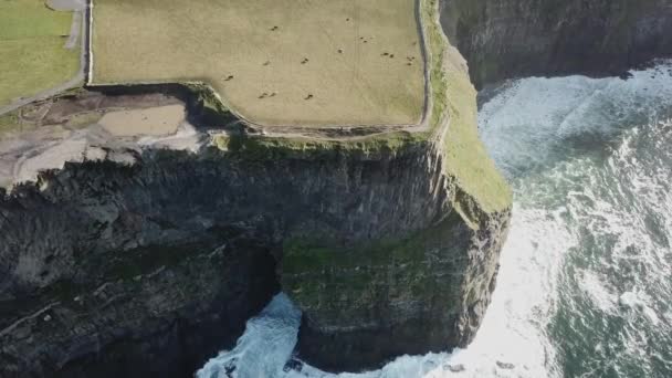 母島の崖 フィールドと歩く道と白い泡の上のドローンビューは アイルランドの下の大西洋の海を形成します — ストック動画