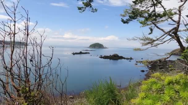 View Deception Island Window Lush Foliage Fidalgo Island — Vídeo de stock