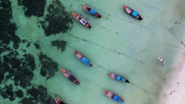 高丽水域系泊的传统长尾捕鱼船的空中鸟瞰图 昂首阔步 — 图库视频影像