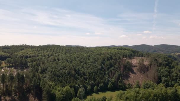 Grote Gemengde Bossen Die Een Zonnige Dag Heuvels Van Het — Stockvideo