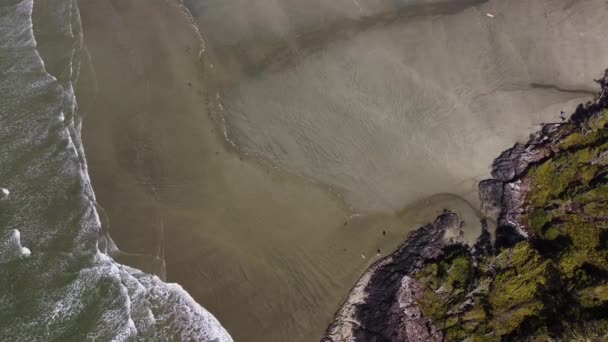 Static Birds Eye Drone Video Looking Sunny Beach Located Tofino — 비디오
