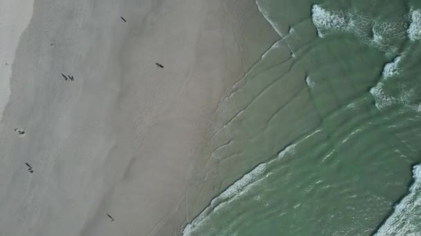Arriba Hacia Abajo Las Olas Del Océano Turquesa Big Bay — Vídeos de Stock