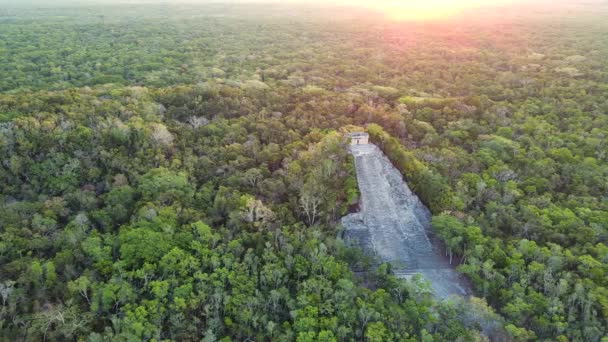 Tulum Stone Ruins Coba Civilization Lucht Drone Fly Boven Jungle — Stockvideo