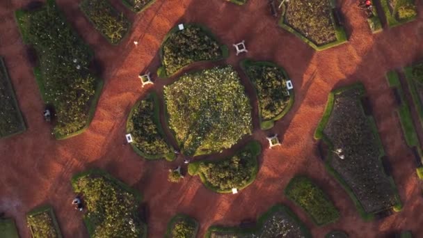 Rising Drone Flight Rosedal Palermo Buenos Aires Rose Garden Very — Vídeos de Stock