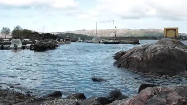 Small Harbor View Tiny Boats Moving Water Fjord Catched Time — kuvapankkivideo