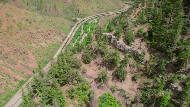 Drone Footage Flying Steep Canyon Cliff Covered Lush Alpine Trees — Wideo stockowe