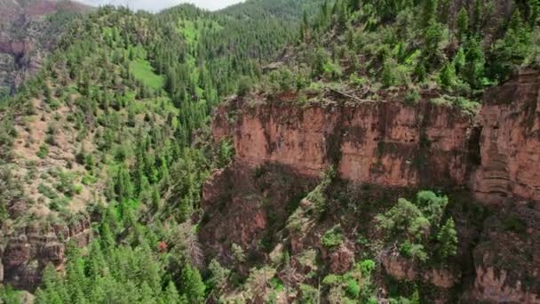 Drone Girato Volando Sopra Rocky Canyon Cliff Coperto Alberi Verdi — Video Stock