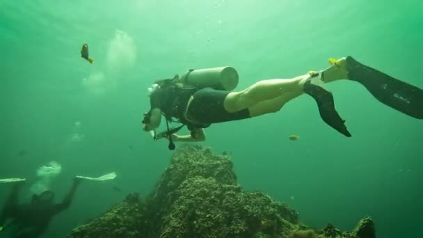 스쿠버 다이버들 타이에 산호초를 바다를 헤엄쳐 다니는 — 비디오