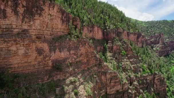 Aerial Drone Footage Large Rocky Cliff Alpine Forest Colorado River — Vídeo de stock