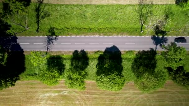 在阳光灿烂的日子里 空中高角的车辆在绿地之间的路上经过 — 图库视频影像