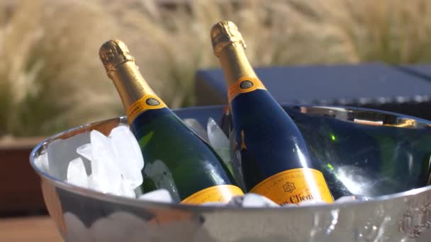 Two Bottles Veuve Clicquot Champagne Silver Bowl Ice Front Grass — Videoclip de stoc